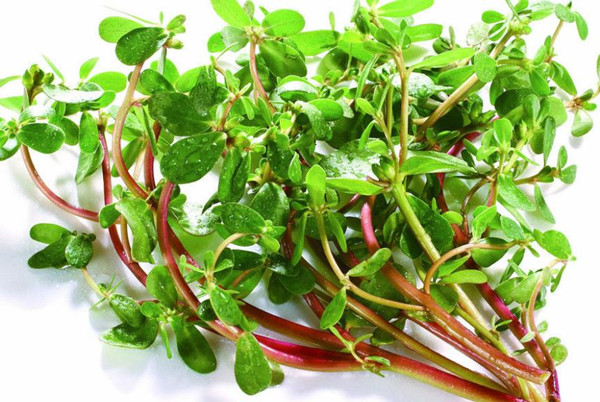 食堂承包餐飲服務(wù)管理為員工發(fā)展提供美味的食物，可以增加員工的社會(huì)福利